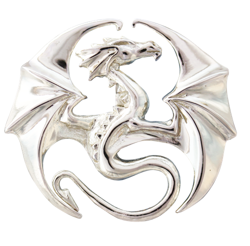 Draco for Stability & Progress by Anne Stokes