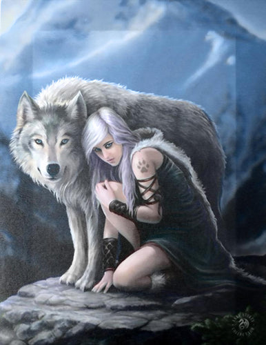 Protector Canvas Art Print by Anne Stokes